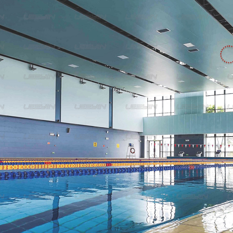 Aluminum Ultra-microporous Sound-absorbing Board